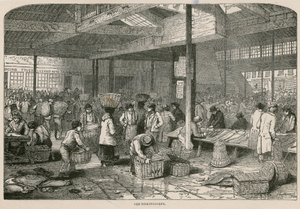 Vecchio Billingsgate da English School
