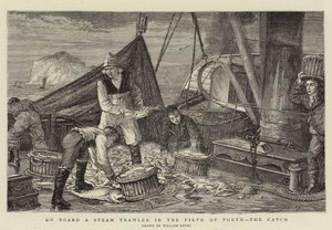 A bordo di un peschereccio a vapore nel Firth of Forth, la cattura da English School