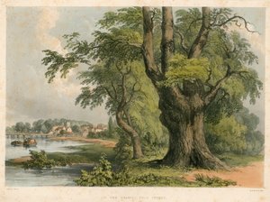 Sul fiume Tamigi, vicino a Putney, Londra da English School