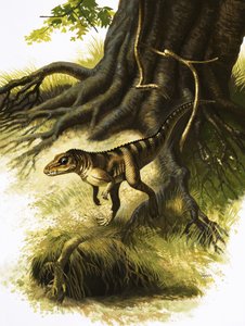 Onithosuchus