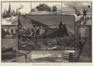 Le nostre industrie della pesca, la pesca dell