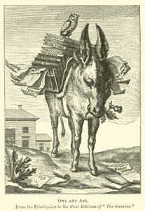 Gufo e asino