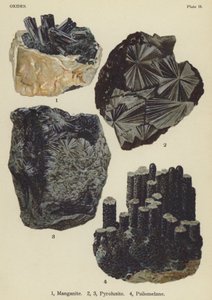 Ossidi, manganite, pirolusite, psilomelano (litografia a colori) da English School