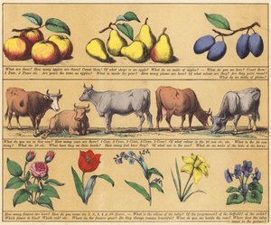 Pagina dal Nuovo Libro Illustrato (litografia a colori)