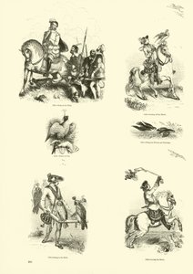 Pagina dal Museo Illustrato della Natura Animata