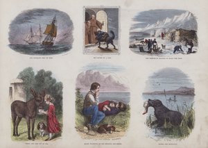 Pagina dal Libro Illustrato Attraente