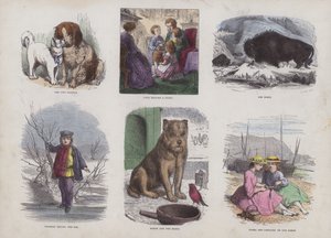 Pagina dal libro illustrato attraente