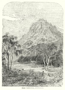 Picco Tangulla, Australia (incisione) da English School