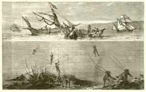 Pesca delle Perle