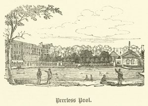 Piscina Peerless da English School