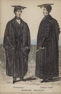Pensionato, Fellow Commoner, Downing College