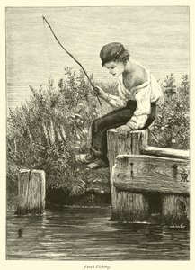 Pesca al persico da English School
