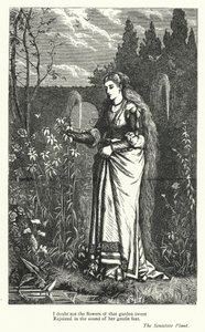 Percy Bysshe Shelley: Illustrazione per La Pianta Sensibile (incisione) da English School