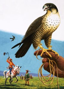 Falco pellegrino