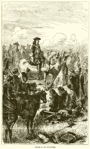 Pietro I a Poltava da English School