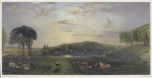 Petworth Park, Sussex