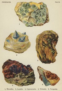 Fosfati, wavellite, lazulite, cuprouranite, vivianite, turchese