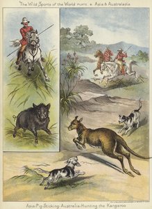 Caccia al cinghiale e al canguro