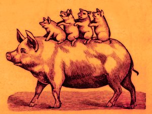 Maiale con i suoi maialini, illustrazione da Coles Funny Picture Book