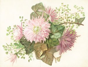 Fiori rosa (Dalia) da English School