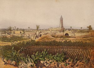 Luoghi menzionati nella Bibbia: Gaza, la città vecchia da English School