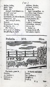 Agricoltura dal 