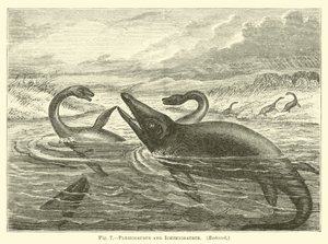 Plesiosauro e ittiosauro da English School