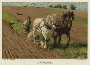 Aratura di H Wheelwright