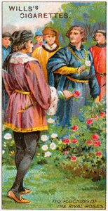 La raccolta delle rose rivali da English School
