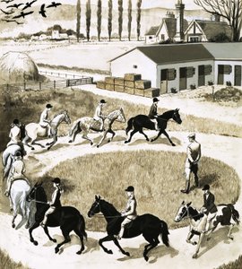 Pony in esercizio