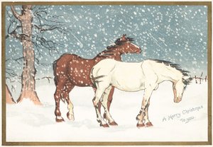 Pony nella neve da English School