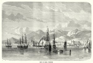 Porto di Spagna. Trinidad (incisione) da English School