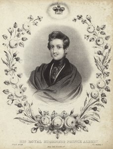 Ritratto di Alberto, il Principe Consorte da English School