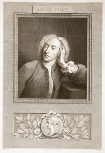 Ritratto di Alexander Pope, illustrazione da La storia d