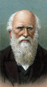 Ritratto di Charles Robert Darwin (1809-1882) - Dalla serie "Leaders of Men"