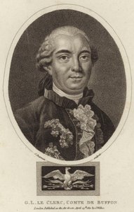 Ritratto di Georges-Louis Leclerc, Conte di Buffon da English School