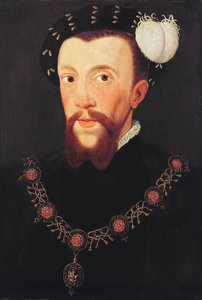 Ritratto di Henry Howard, 1546