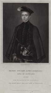 Ritratto di Henry Stuart, Signore di Darnley