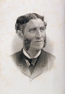 Ritratto di Matthew Arnold (1822-88)