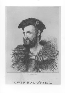 Ritratto di Owen Roe O