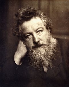 Ritratto di William Morris, 1886 da English School