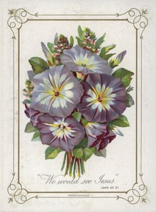 Mazzo di fiori