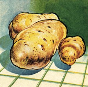 Patate