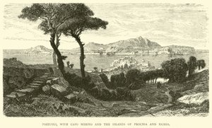 Pozzuoli, con Capo Miseno e le isole di Procida e Ischia da English School