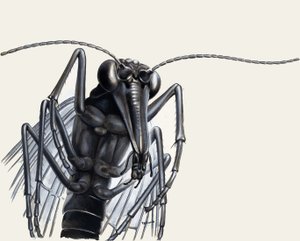 Predatori del passato da English School