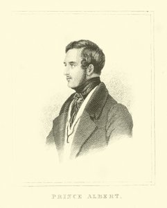 Principe Alberto da English School