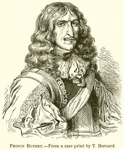Principe Rupert