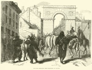 Truppa di foraggiamento prussiana che porta bestiame, ottobre 1870 da English School