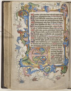 Salterio con calendario Sarum, c.1425-75 (inchiostro, pittura e oro su pergamena) da English School