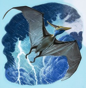 Pterodattilo